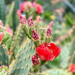 Meet your Posher, Claire